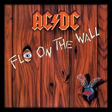 FRAMED AC/DC (FLY ON THE WALL)